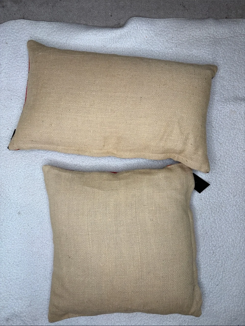 Set of 2 Amenity Throw Pillow